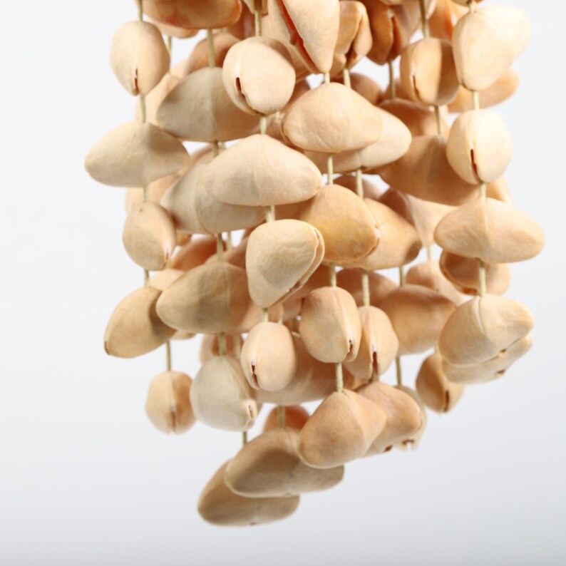 Carillon Éolien en Forme de Fruits 12,99 Pouces, 108 Pièces, Coquillages de Laurier-Rose, Son Naturel pour Jardin et Balcon