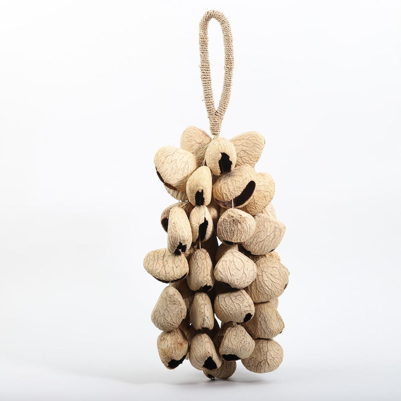 Carillon Éolien en Coquilles de Fruits Noirs d'Indonésie, 15,75 pouces, 60 Coquilles, Son Naturel pour Cour, Balcon, Restaurant