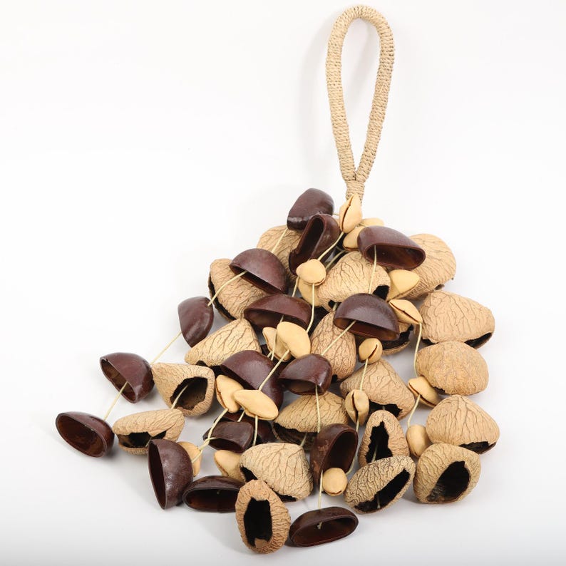 Carillon Éolien en Coquilles de Fruits Naturelles, 15,75 Pouces, 60 Pièces, Suspendu pour Cour et Balcon