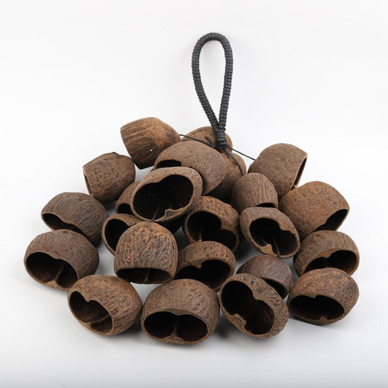 Carillon éolien en coquillages 18 po, 24 coquillages salins naturels, sons mélodieux pour cour et balcon