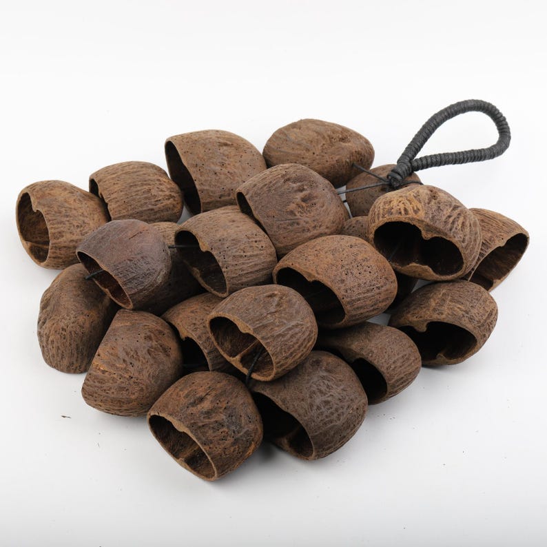 Carillon éolien en coquillages 18 po, 24 coquillages salins naturels, sons mélodieux pour cour et balcon