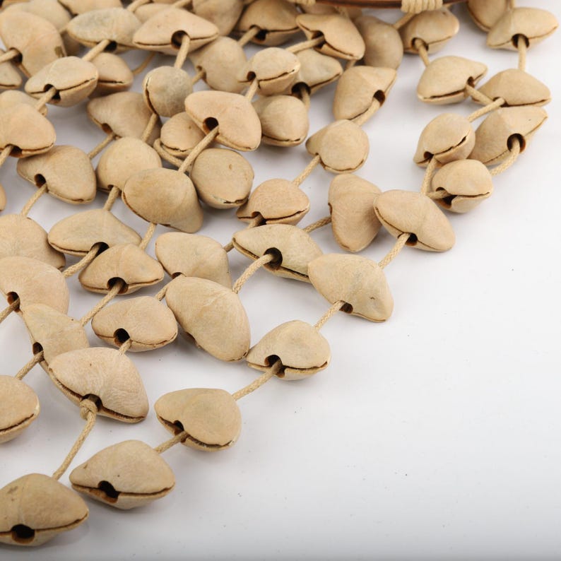 Carillon éolien en coquilles de fruits, hauteur 18 po, 97 pièces (96 chachas et 1 juju), poids 261,5 g, sons naturels apaisants